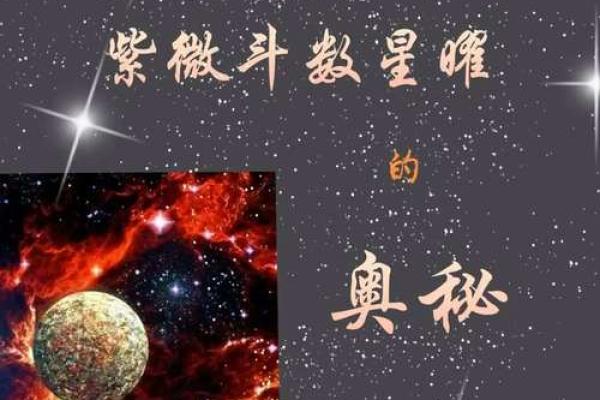 手指斗数的奥秘:揭示你的命运之路 手指斗数的奥秘:揭示你的命运之路