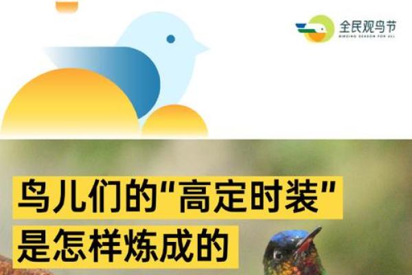 鸟儿象征的人生命格：探寻灵动自由的命运之路