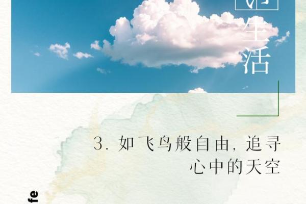 鸟儿象征的人生命格：探寻灵动自由的命运之路