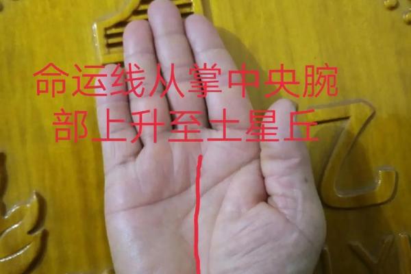 事业晚成的命运解析:成就与机遇的交汇点 事业晚成的命运解析:成就与机遇的交汇点