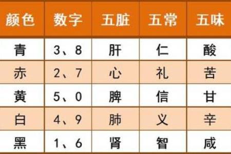 兔宝宝的命理解析：五行属性与生活运势的深度剖析