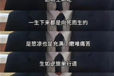 命没了还有什么享受吗？探寻生命的意义与乐趣