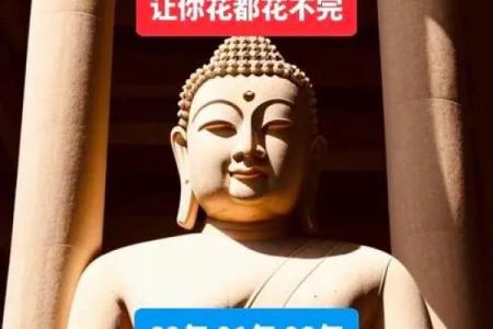 93属鸡女孩的命理解析与人生启示