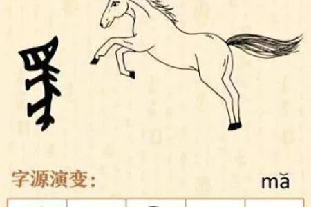 民国15年的命理解析：探索命运的密码与人生的选择