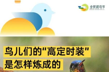 鸟儿象征的人生命格：探寻灵动自由的命运之路