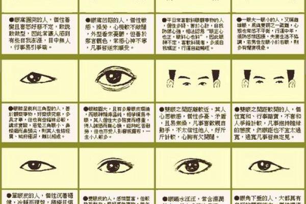 如何选择最佳时机进行杀猪，运用命理知识寻求吉祥之道