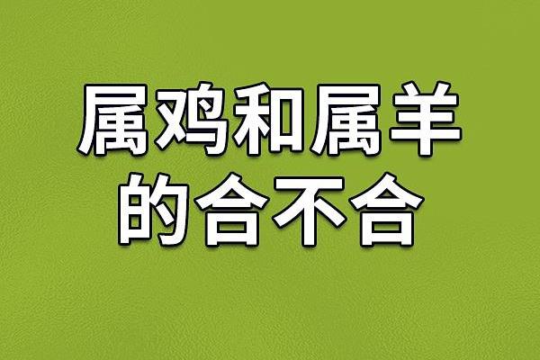61岁属鸡的人命运解析:人生的选择与机遇之路 61岁属鸡的人命运解析:人生的选择与机遇之路