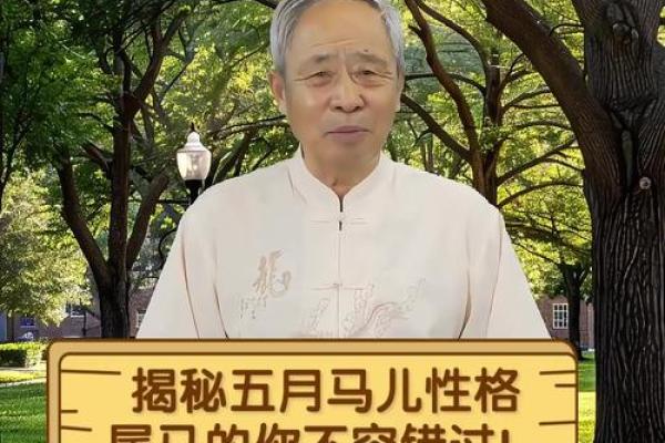 1954年属马的命运解析与人生哲学