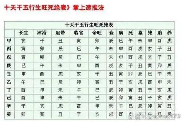 身旺命弱：命理中的平衡与调和探讨