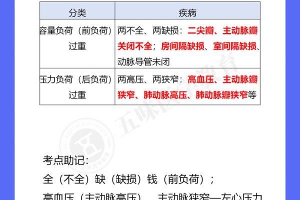 身弱水命适合的工作选择与发展方向解析