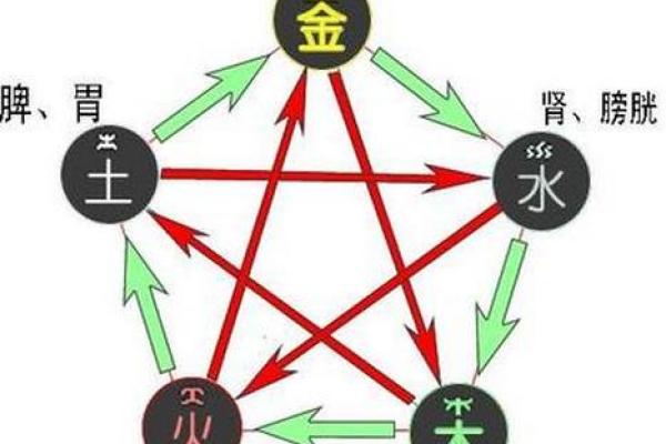 属猪山头火命相配的最佳命格解析与建议 属猪山头火命相配的最佳命格解析与建议