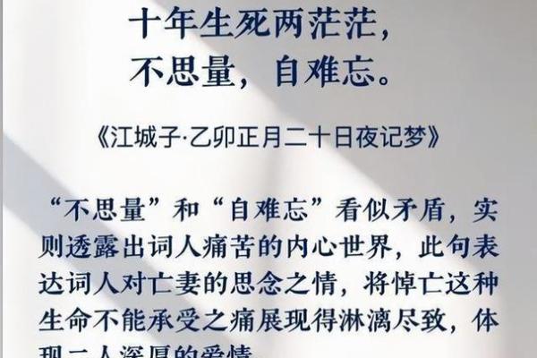 探究一夫两妻之命的深意与人生启示