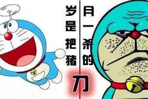 杀猪命下联探讨：人生与命运的哲理之结