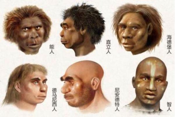 探秘1993年出生的人命运与性格特征分析