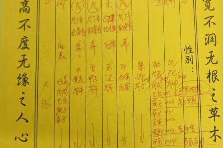 属马人的命理解析：揭开土命与其他命格的秘密