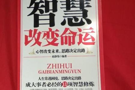 属牛人60岁命运解析：智慧与坚韧的结合之路