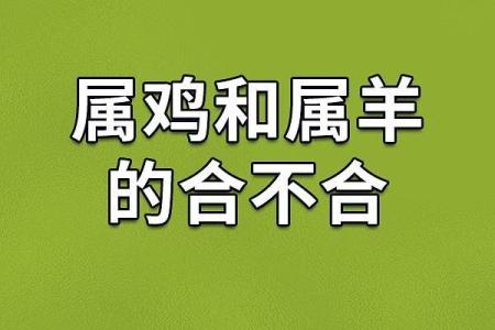 61岁属鸡的人命运解析：人生的选择与机遇之路