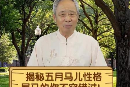 1954年属马的命运解析与人生哲学