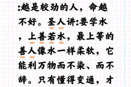 水猴之命：探索八败命理背后的深层意义与人生启示