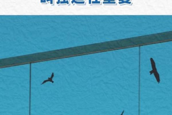 什么是破命关系？走出困境，迎接新生的旅程