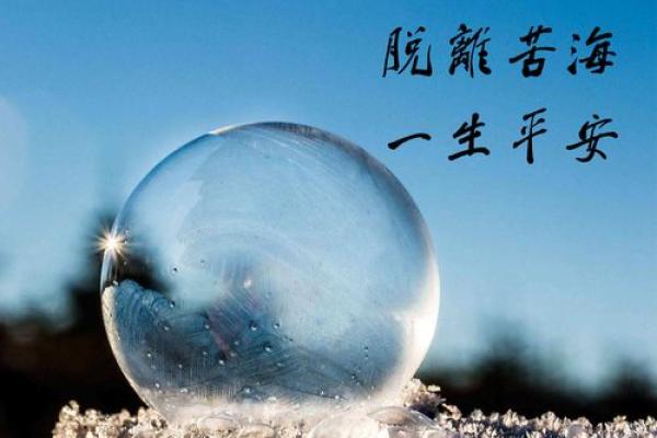 探秘1984年正月十七出生的命运：一生的精彩与挑战