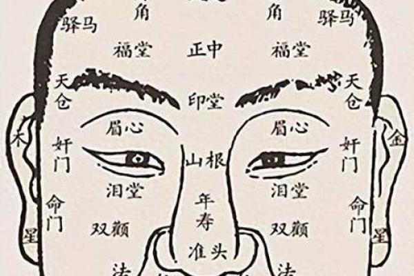 女生命格解析：揭示你背后的命运密码与个性特征