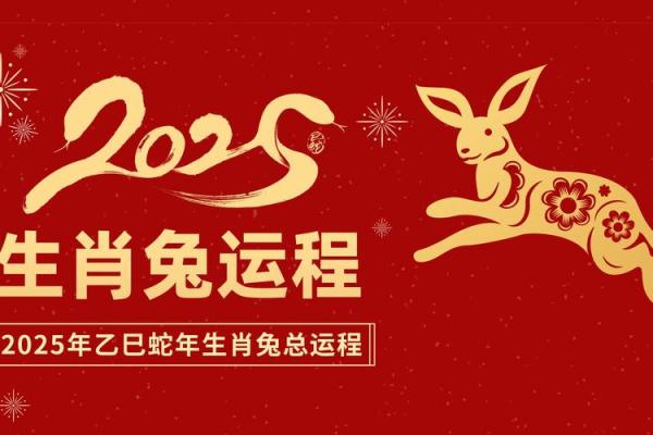 15岁生肖揭秘：属兔的命运与运势分析！