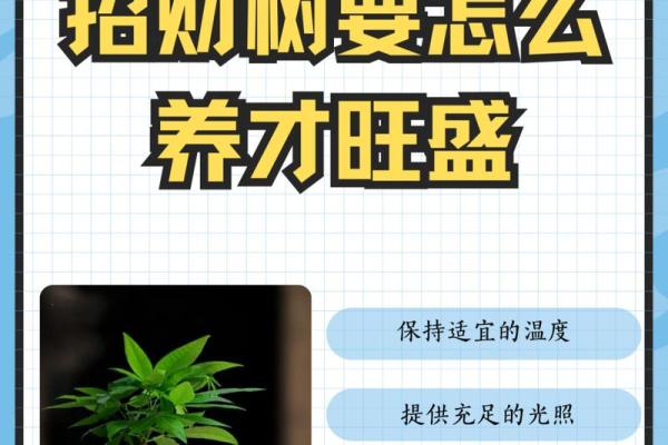 水命人如何通过养植物招财致富的秘诀 水命人如何通过养植物招财致富的秘诀