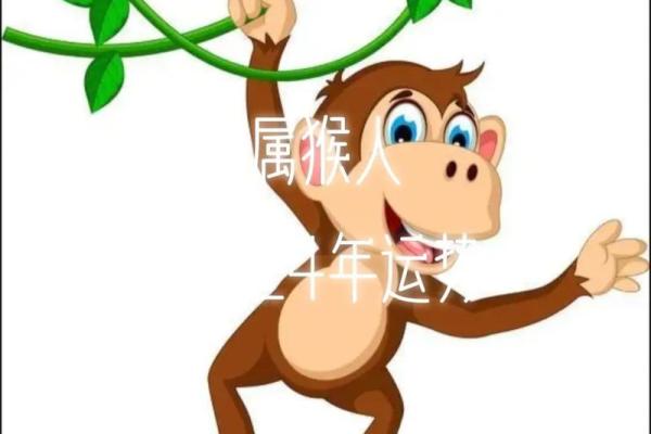 1192年属猴之命：探寻阳光下的智慧与灵活性