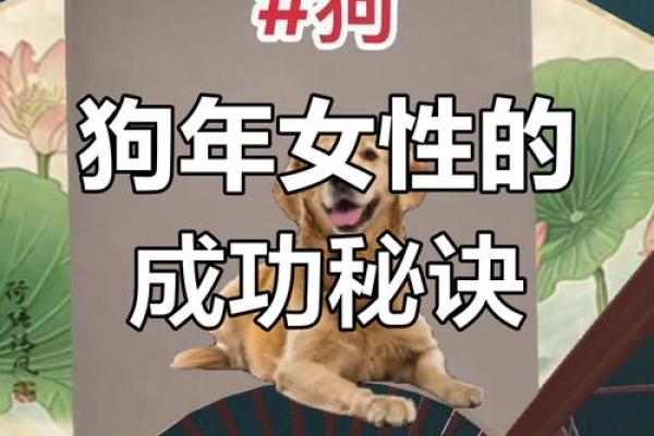 属狗女51岁,命运与岁月的华丽交织与重塑 属狗女51岁,命运与岁月的华丽交织与重塑