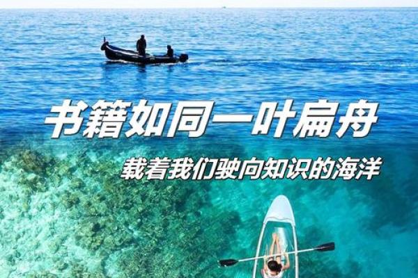 55年生人揭示命运:理解命格和人生旅程的奥秘 55年生人揭示命运:理解命格和人生旅程的奥秘