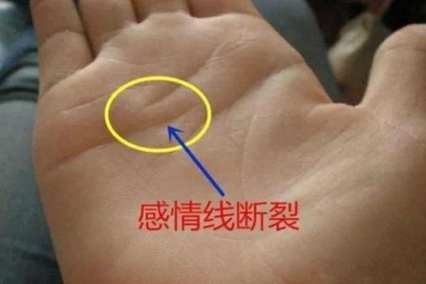 双手断掌:命运的象征与人生的启示 双手断掌:命运的象征与人生的启示