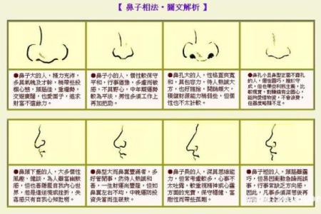 三两八钱男命的命理解析与人生指引