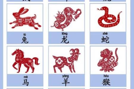 闰二月出生的兔子命：神秘与吉祥的双重象征