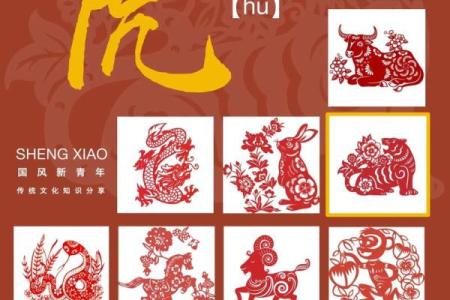 属虎男人的命运解析：究竟什么命最好？