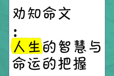 《深入探讨“什么命鸣”的深刻寓意与文化价值》