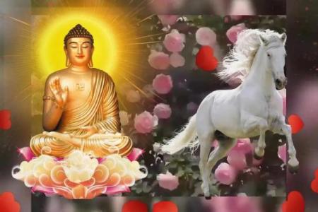 40岁属马之人：命理解析与人生建议