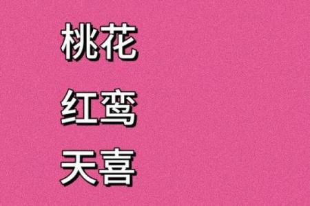 探究命理中的天喜与桃花：爱情与财运的双重解析