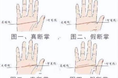 双手断掌：命运的象征与人生的启示