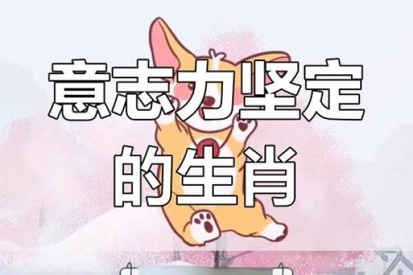 45年的兔子命运:吉凶与性格解析,揭开生肖兔神秘面纱! 45年的兔子命运:吉凶与性格解析,揭开生肖兔神秘面纱!