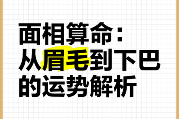 男士眉毛修长的命理解析：从眉毛看男人的运势与性格