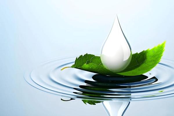 水命人最适合佩戴的木头之美:探寻自然的灵性与和谐 水命人最适合佩戴的木头之美:探寻自然的灵性与和谐