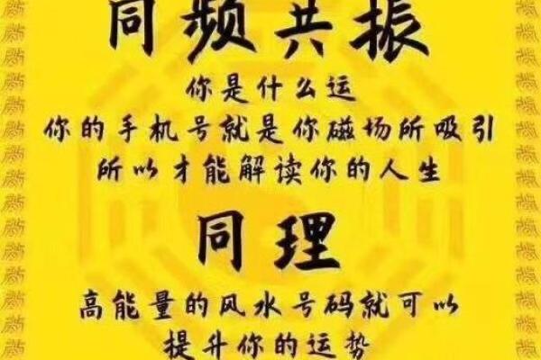 数字背后的命理奥秘：深入探索命运的数字密码