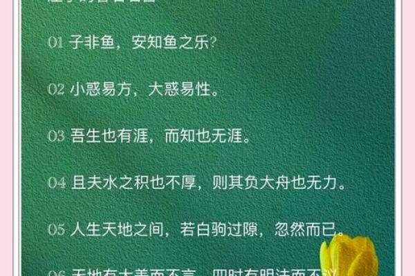 情绪之命：庄子的哲学与生活智慧探讨