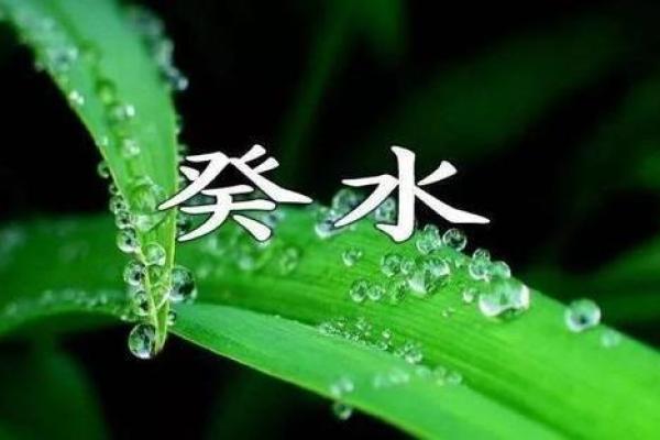 1942年属什么水命，探索水命人生奥秘与机遇