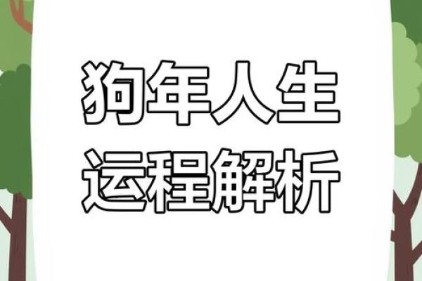 82狗年出生的命运与性格分析：命理与人生的有趣对比