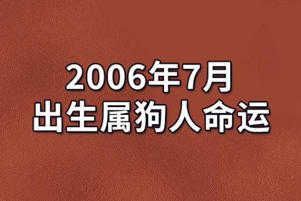 属狗时辰出生的命理解析:揭示你的个性与命运之道 属狗时辰出生的命理解析:揭示你的个性与命运之道