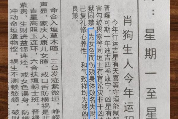 属狗时辰出生的命理解析:揭示你的个性与命运之道 属狗时辰出生的命理解析:揭示你的个性与命运之道
