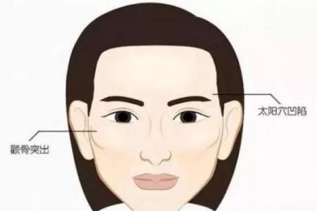 颧骨宽的女性命运解读：内外兼修的魅力与挑战