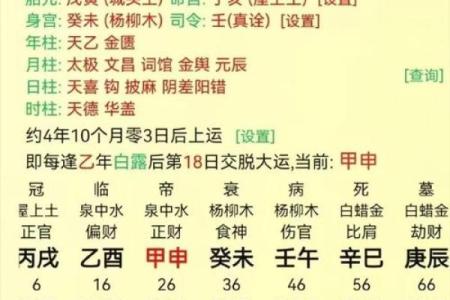 1946年土命解析：解密土元素命理与生活的妙趣